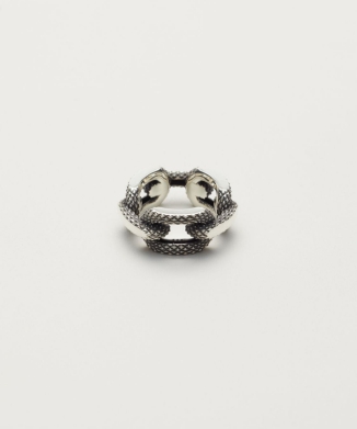 TEXTURED CHAIN RING