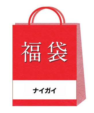 【NAIGAI】2026年福袋