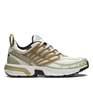 ACS PRO GTX