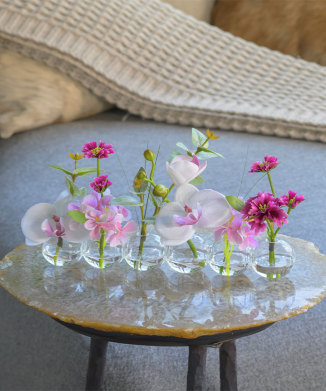 ファレノプシスリップピンク6W