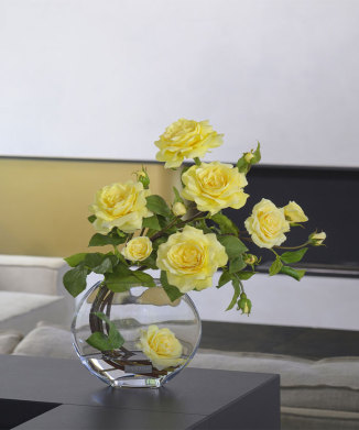 プリマローズye-3L