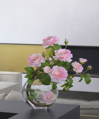 プリマローズpk-3L