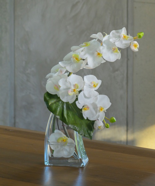 EMILIOROBBA ファレノプシスL マルチ W25×D20×H40cm EMILIOROBBA ファレノプシスL マルチ W25×D20×H40cm
