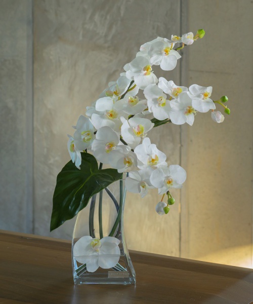 EMILIOROBBA ファレノプシス4L マルチ W43×D35×H57cm EMILIOROBBA ファレノプシス4L マルチ W43×D35×H57cm