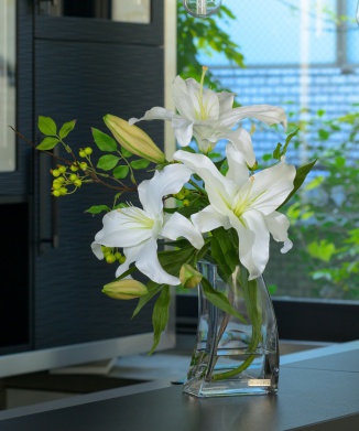 カサブランカ3L