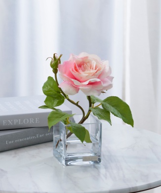 プリマローズpk-XS