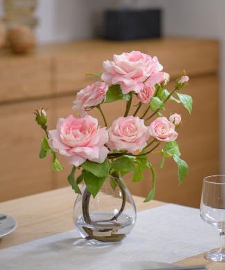 プリマローズpk-L