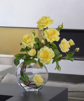 プリマローズye-3L