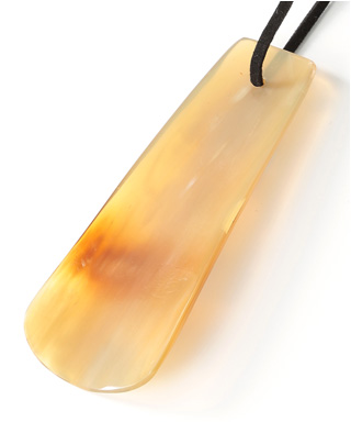 アビィ シューホーンP11