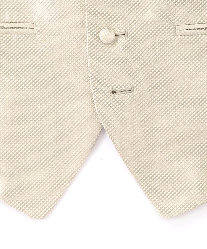 フォーマルベスト RTV15(M1990017)｜HANKYU MEN'S / 阪急メンズ