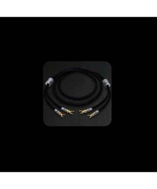 Speaker Cable ARGENTUM ACOUSTICS AUREUS-2