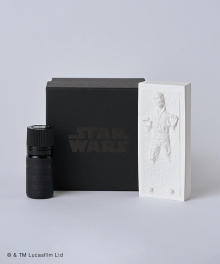 Aroma Ornament / Han Solo Frozen in carbonite