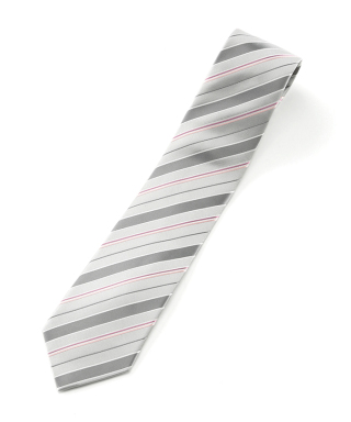 シルバータイ　ACNNJ300A06