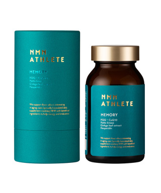MEMORY SUPPLEMENT
