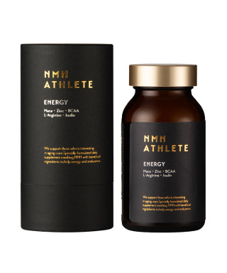 ENERGY SUPPLEMENT
