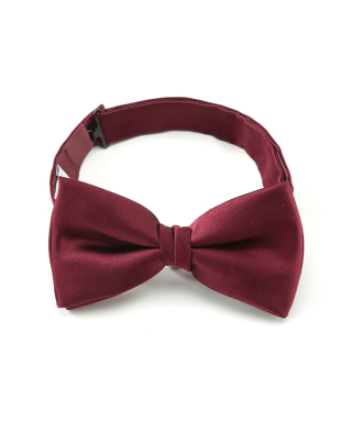 チョウタイ　ACNAJ200A09