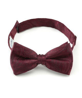 チョウタイ　ACNAJ132A09