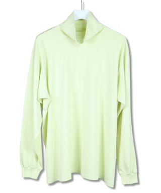 LUSTER PLAITING HI NECK L/S TEE　A00P03GT