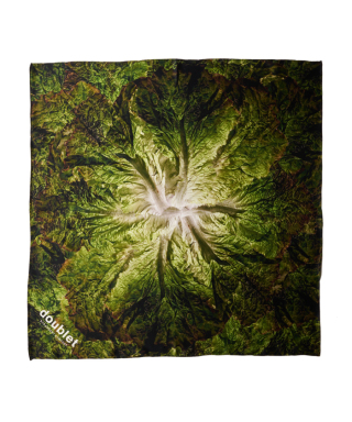 VEGGIE SILK SCARF　26SS65SF05