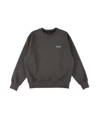 Relaxed Sweat Pullover (EW-LS-GRY-0020XL)