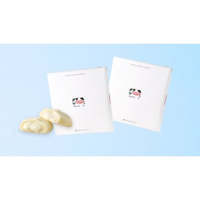 焼きチョコクッキー10P（2個セット） (EC0030)