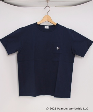 レディースTシャツ