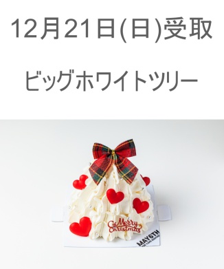 12/21(日) 受取分　ビッグホワイトツリー(4号)