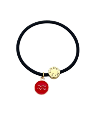 Enamel Zodiac Symbol Charm Pony Red