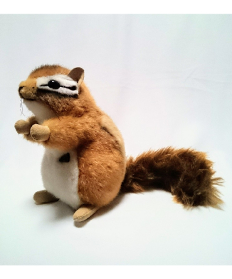 ケーセン社シマリス