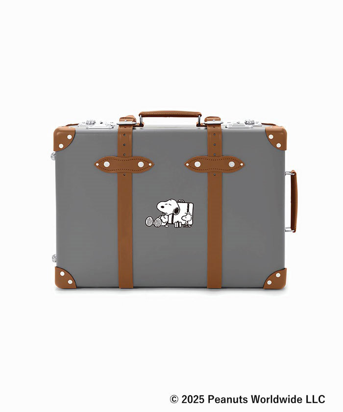SNOOPY - もえあんライナスウォーターグローブ、フレンズウォルアート 41DsqwEO60L.jpg_BO30,255,255,