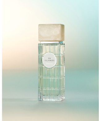 ナインティナイン アイランド