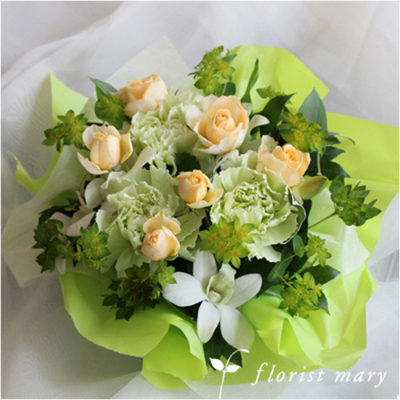 ビビッド：グリーン