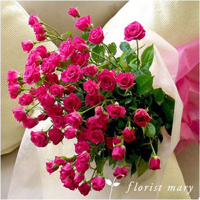 スプレーローズピンク