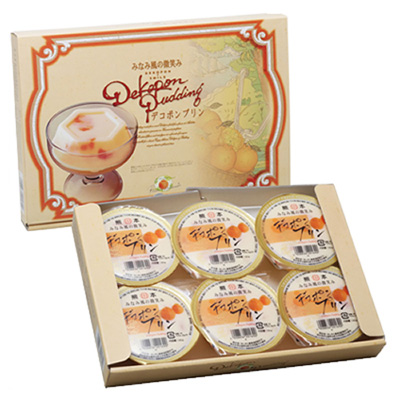 熊本県 芦北のデコポンプリン