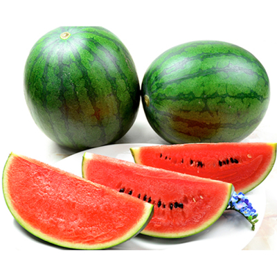 熊本県 小玉西瓜 2玉