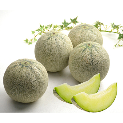 熊本県・茨城県 アンデスメロン 5kg