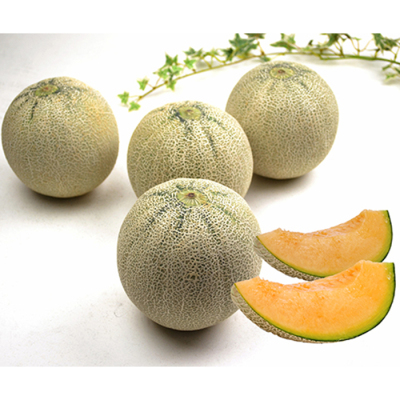 熊本県・茨城県 クインシーメロン 5kg