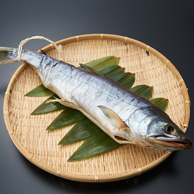 「マルト鮮魚」新潟村上の塩引鮭