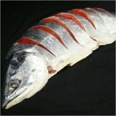 ロシア産紅鮭(中塩)片身800g