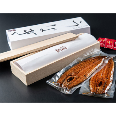 【贈答用】「兼光水産」愛知県三河産うなぎ蒲焼２本セット（養殖）