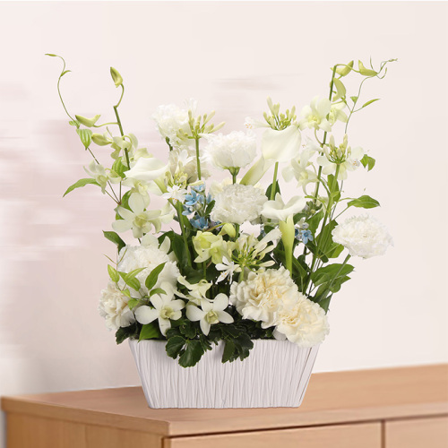 サトウ花店 生花アレンジメント 淡風(たんぷう) FD1 サトウ花店 生花アレンジメント 淡風(たんぷう) FD1