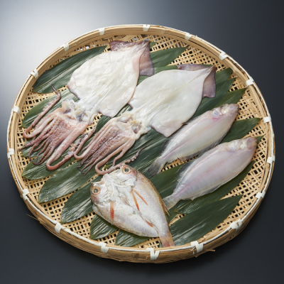 新潟発 日本海干物セット