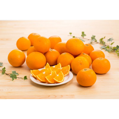 和歌山県産 樹熟 清見オレンジ 4.5kg(20～25玉)