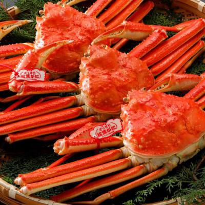 タグ付き浜茹で松葉がに約500g(3杯)