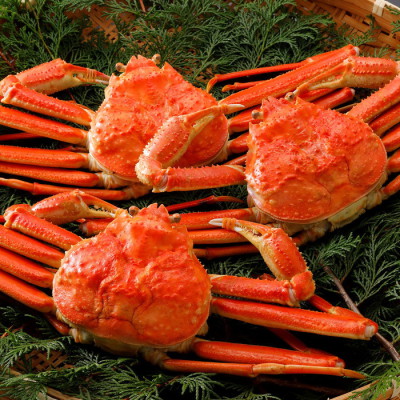 訳あり･浜茹で松葉がに約500g(3杯)