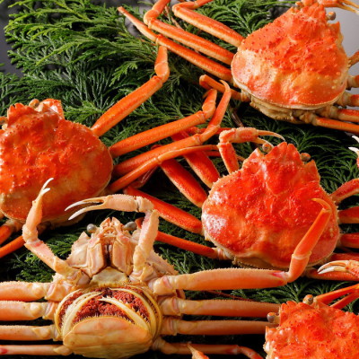 浜茹で親がに(5杯)