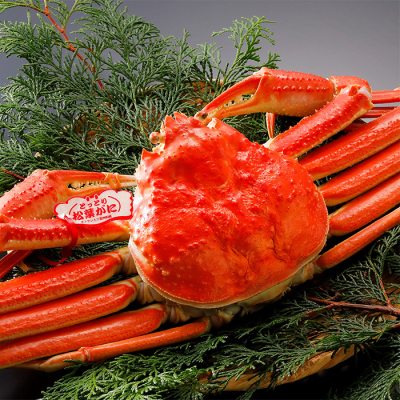 タグ付き浜茹で松葉がに約700g(1杯)