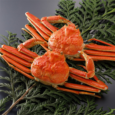 訳あり･浜茹で松葉がに約500g(2杯)