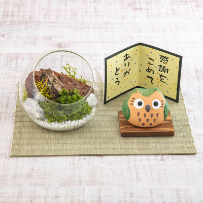 苔プリ・ありがとうふくろうセット
