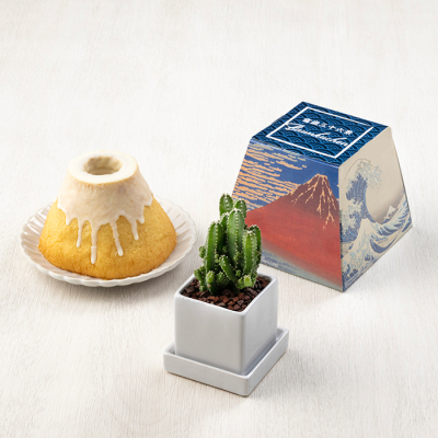 サボテン＆富士山バーム